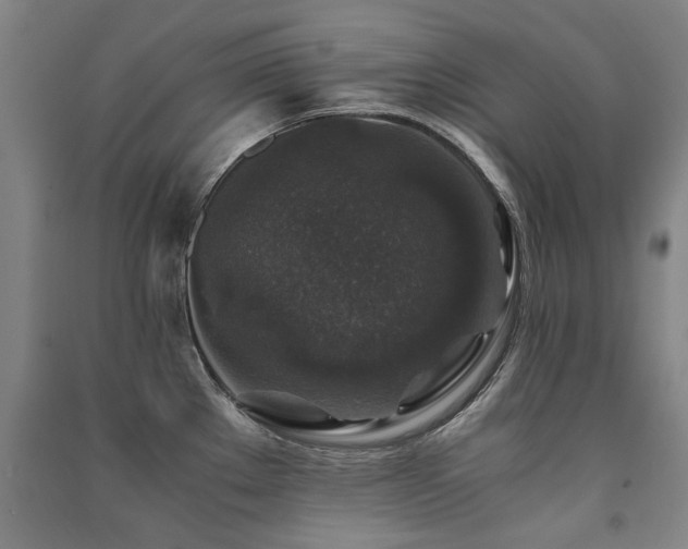 X0000091491289200708161431