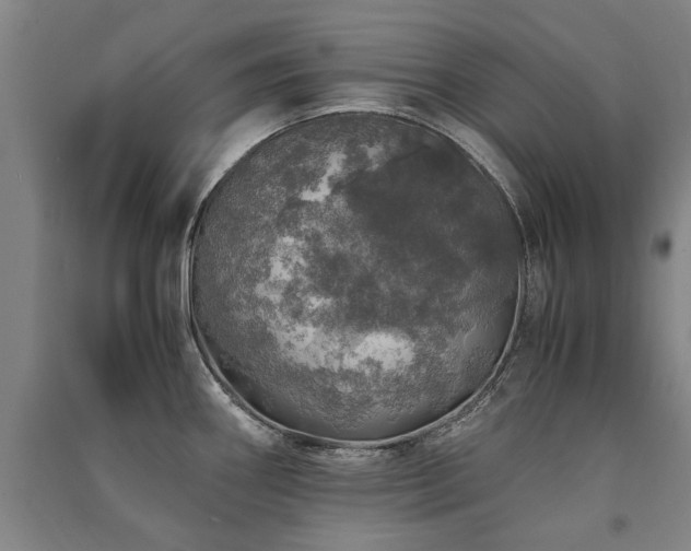 X0000091491290200708161431