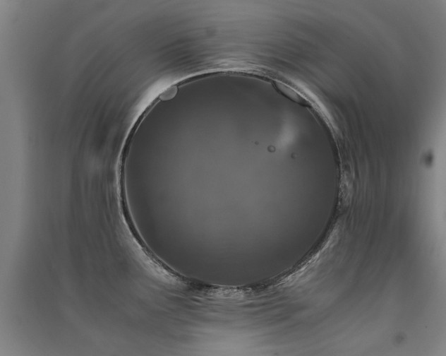 X0000091491291200708161431