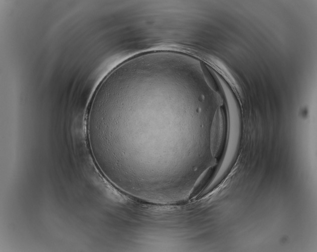 X0000091491292200708161431
