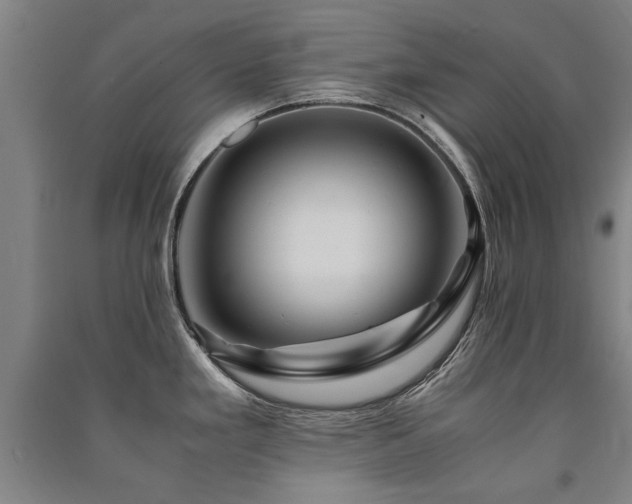 X0000091491293200708161431