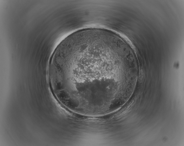 X0000091491295200708161431
