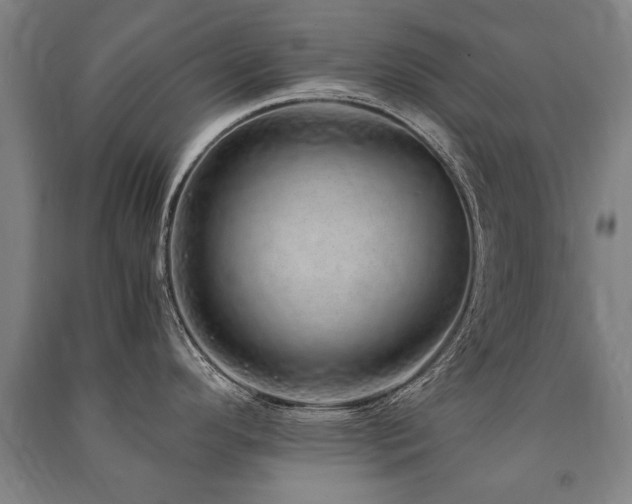 X0000091491296200708161431
