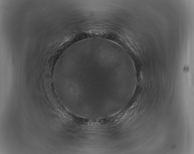 X0000091491297200708161430