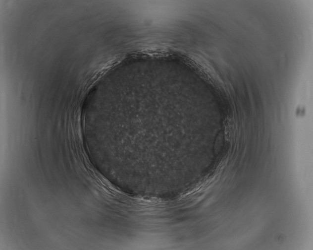 X0000091491298200708161430