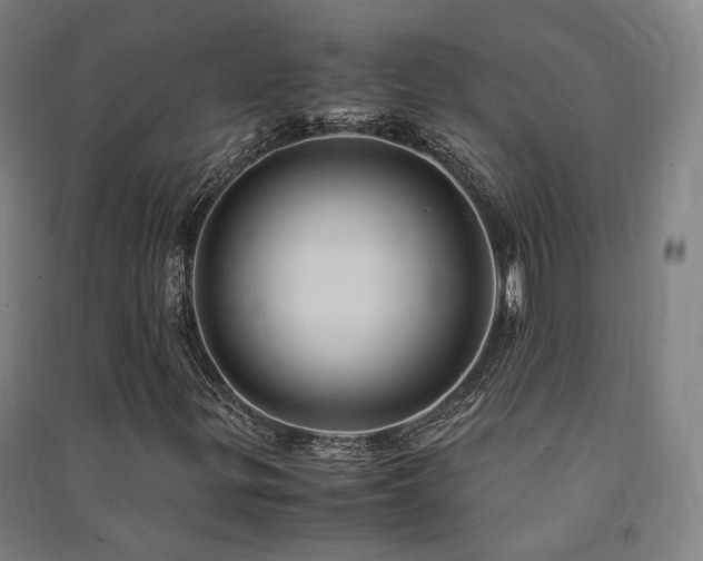 X0000091491299200708161430