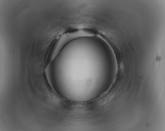 X0000091491300200708161430