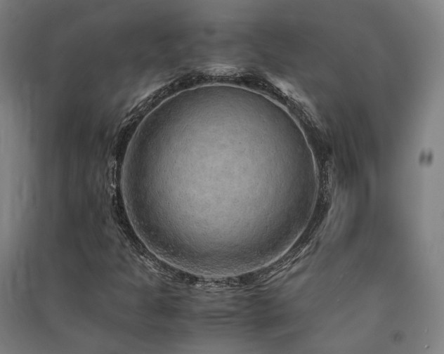 X0000091491301200708161430