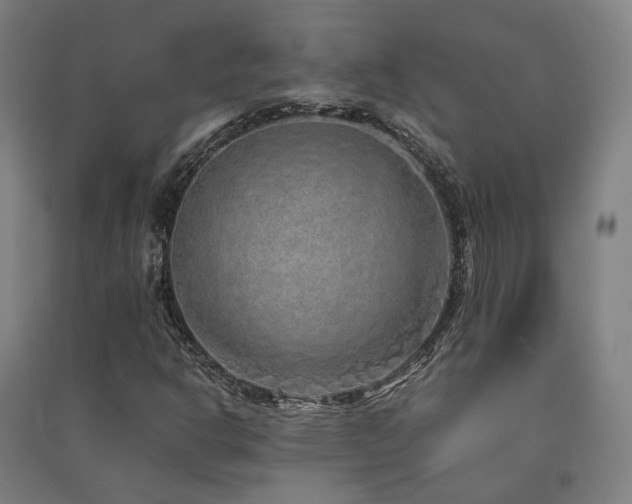 X0000091491302200708161430