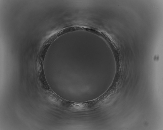 X0000091491303200708161430