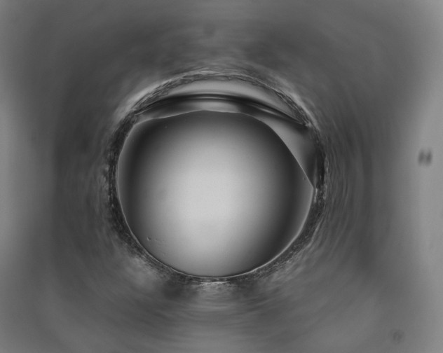 X0000091491304200708161430