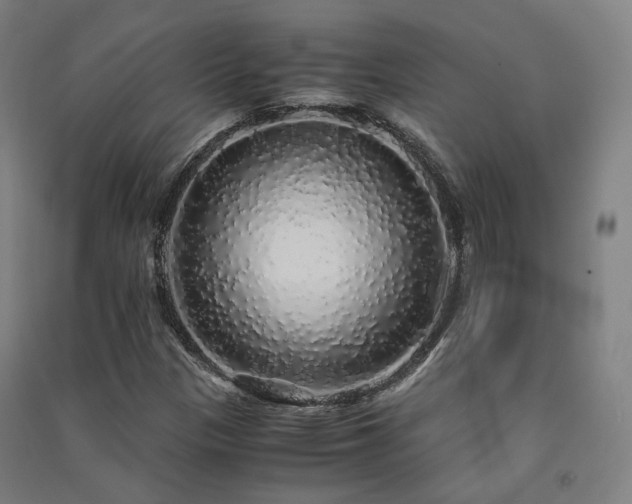 X0000091491305200708161430