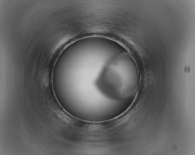X0000091491306200708161431
