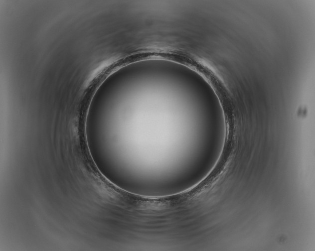 X0000091491307200708161431