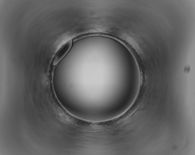 X0000091491308200708161431