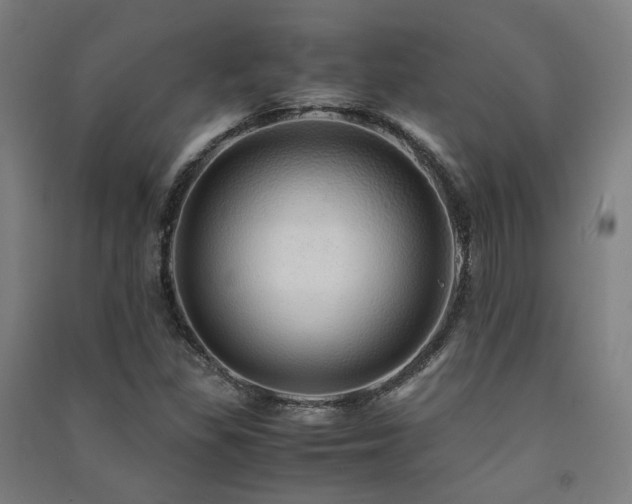X0000091491309200708161431
