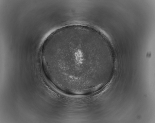 X0000091491310200708161431