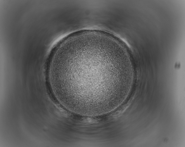 X0000091491311200708161431
