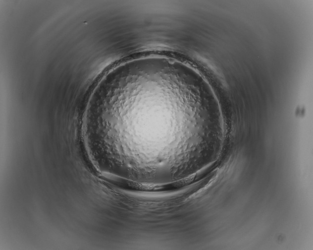 X0000091491313200708161431