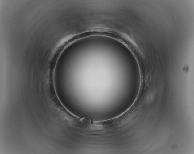 X0000091491315200708161431