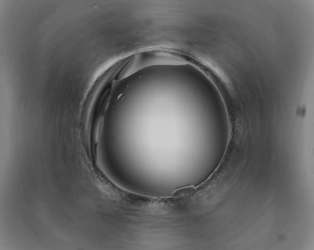 X0000091491316200708161431