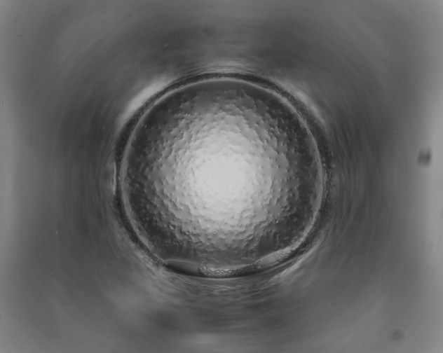 X0000091491317200708161431
