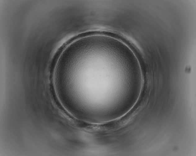 X0000091491318200708161431
