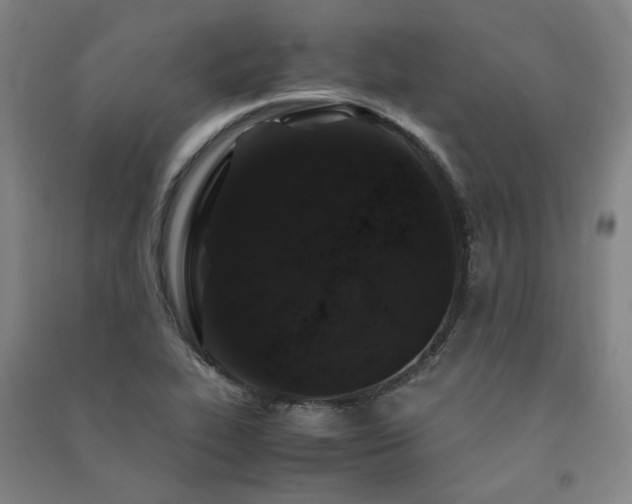 X0000091491319200708161431