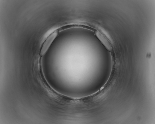 X0000091491320200708161431