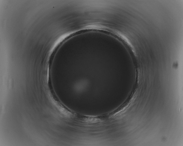 X0000091491323200708161431