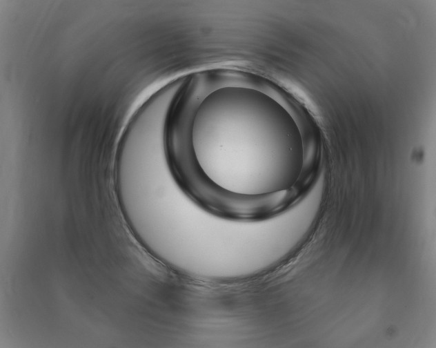 X0000091491324200708161431