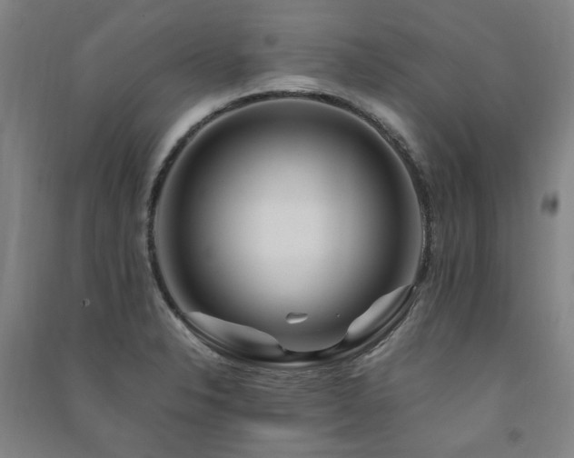 X0000091491326200708161431