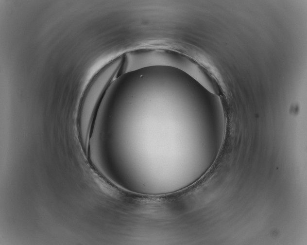 X0000091491328200708161431