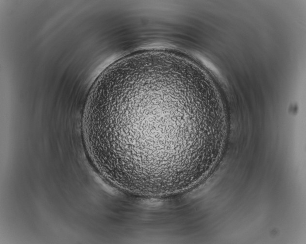 X0000091491329200708161431