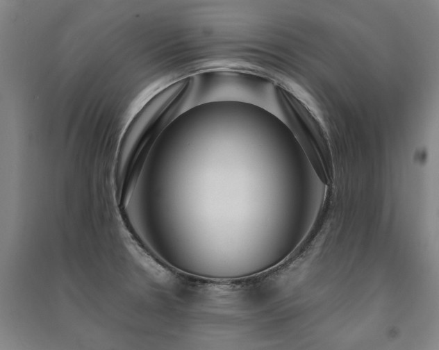 X0000091491330200708161431