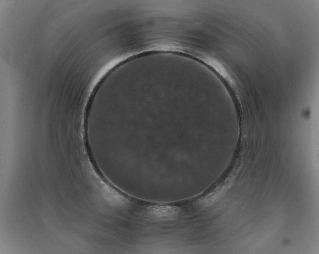 X0000091491331200708161431
