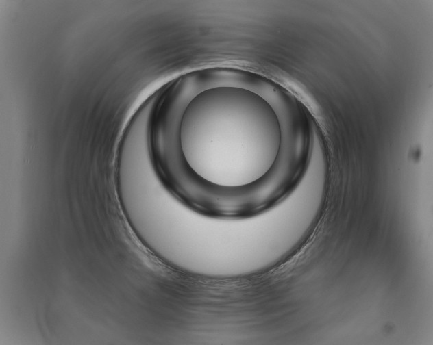 X0000091491332200708161431