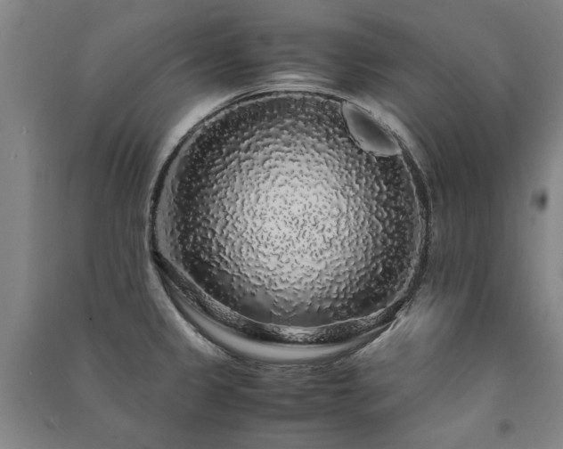 X0000091491333200708161431