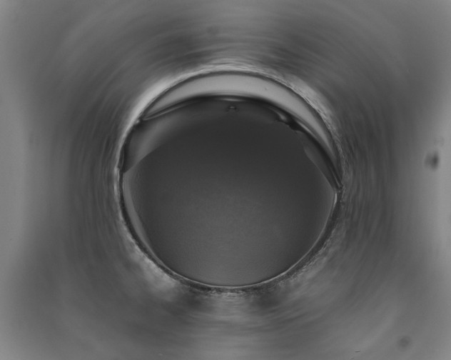 X0000091491334200708161431