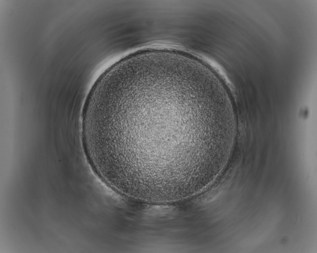 X0000091491335200708161431