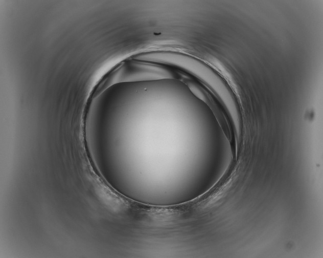 X0000091491336200708161431