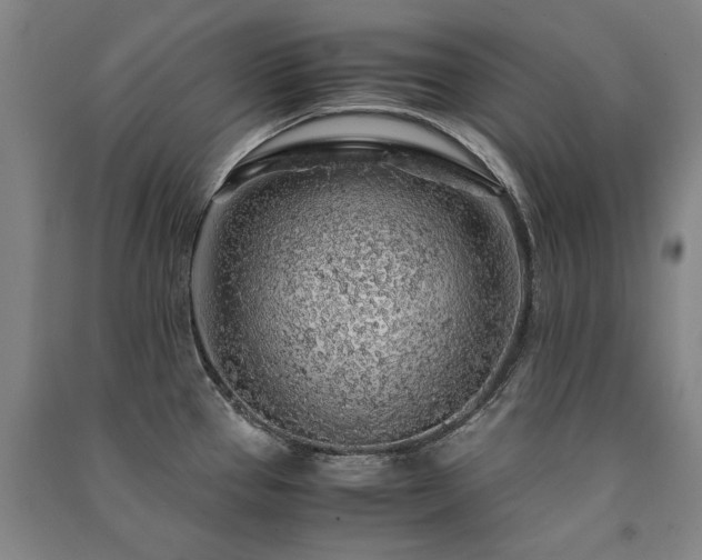 X0000091491337200708161431