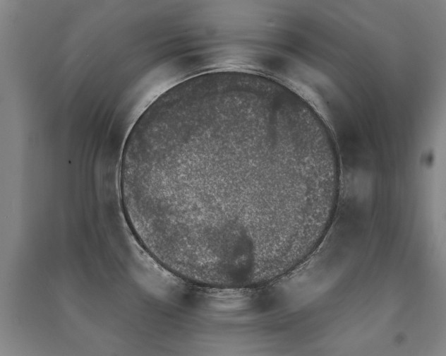 X0000091491338200708161431