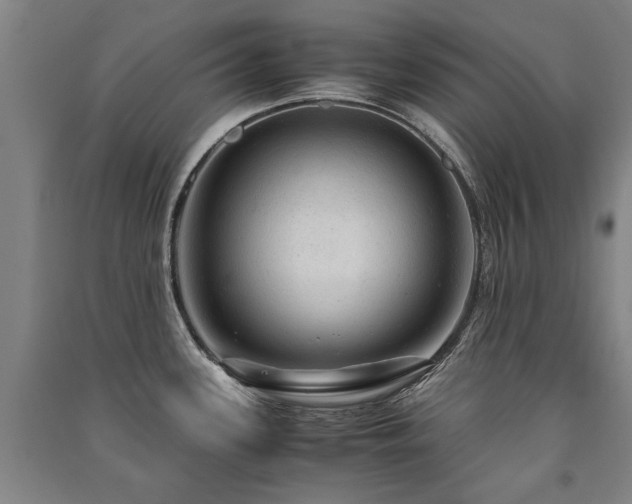 X0000091491339200708161431