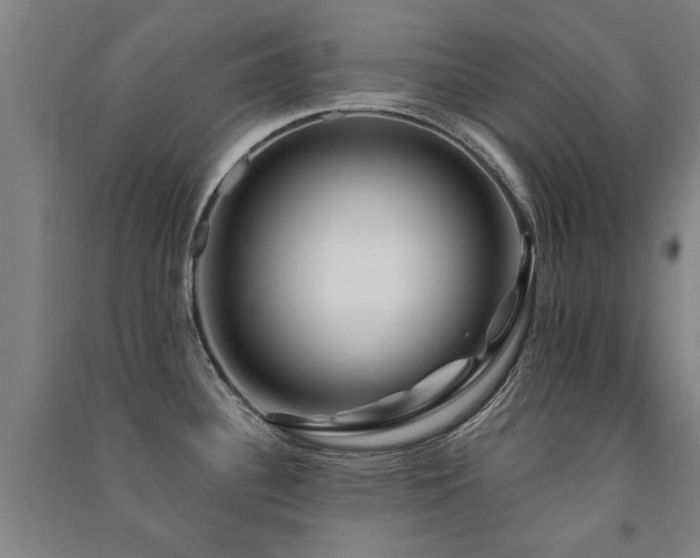 X0000091491340200708161431