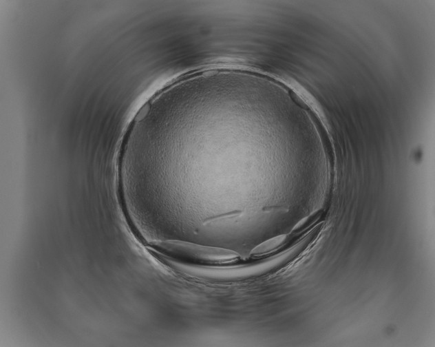 X0000091491341200708161431