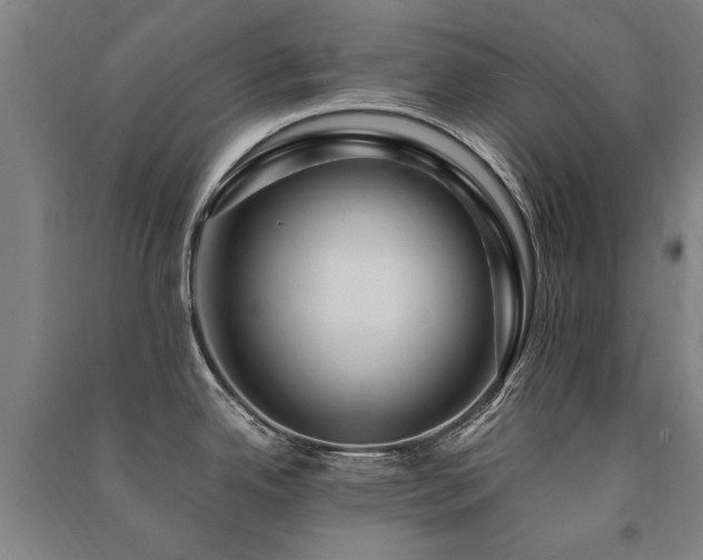 X0000091491342200708161431