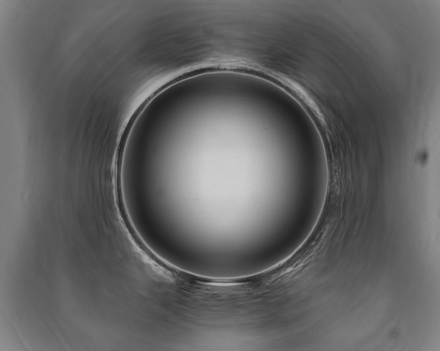 X0000091491343200708161431