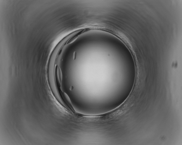 X0000091491344200708161431
