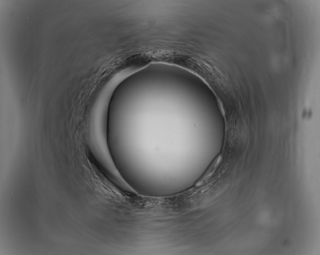 X0000091491345200708161430